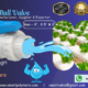 PVC Union Ball Valve Manufacturer in Andhra Pradesh